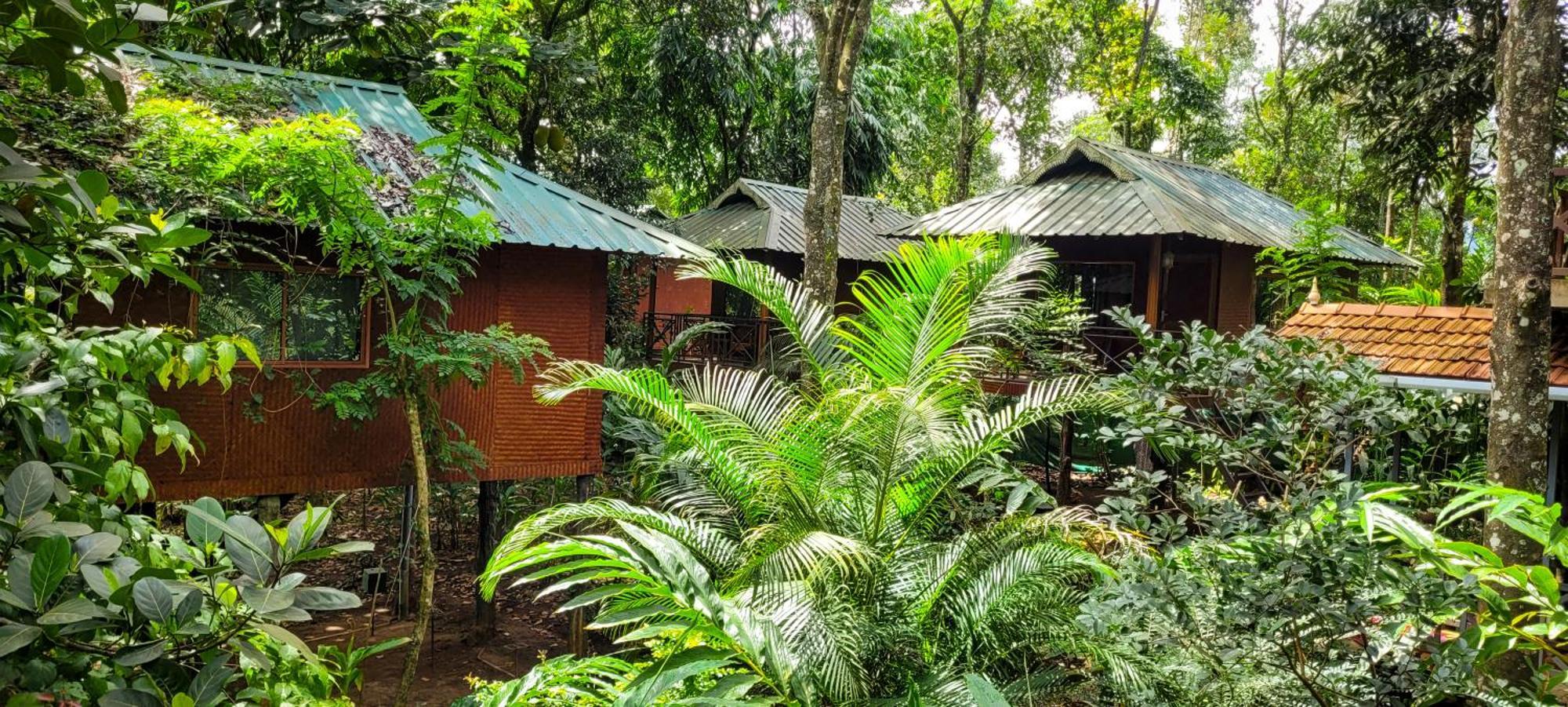 Monsoon Retreats Ecostay- Treehouse Теккади Экстерьер фото