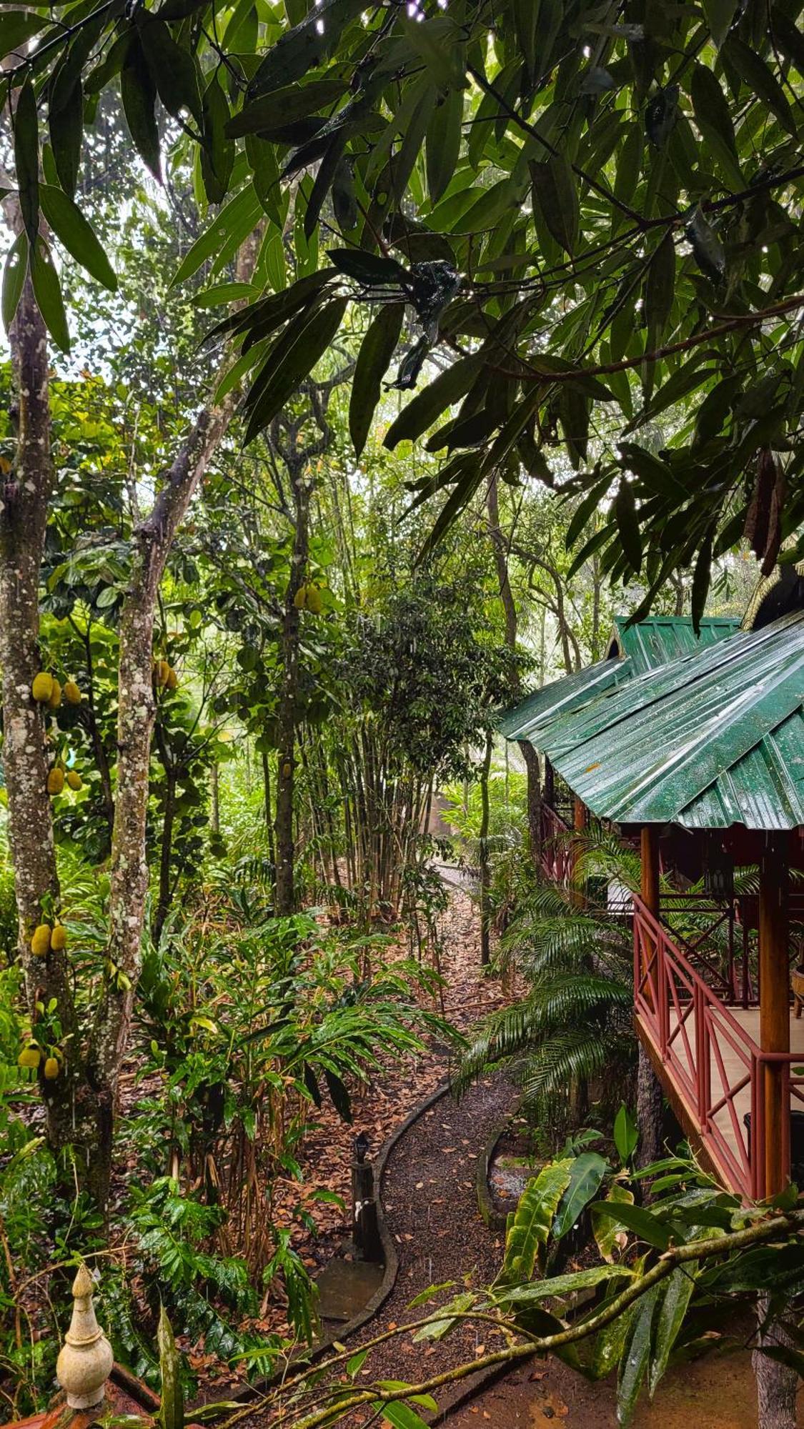 Monsoon Retreats Ecostay- Treehouse Теккади Экстерьер фото
