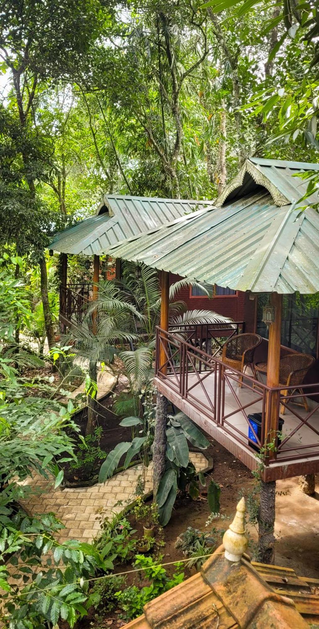 Monsoon Retreats Ecostay- Treehouse Теккади Экстерьер фото