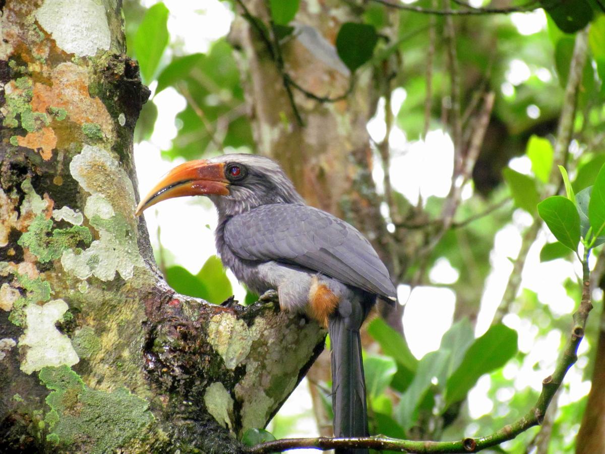 Monsoon Retreats Ecostay- Treehouse Теккади Экстерьер фото