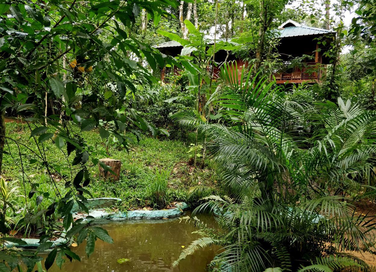 Monsoon Retreats Ecostay- Treehouse Теккади Экстерьер фото