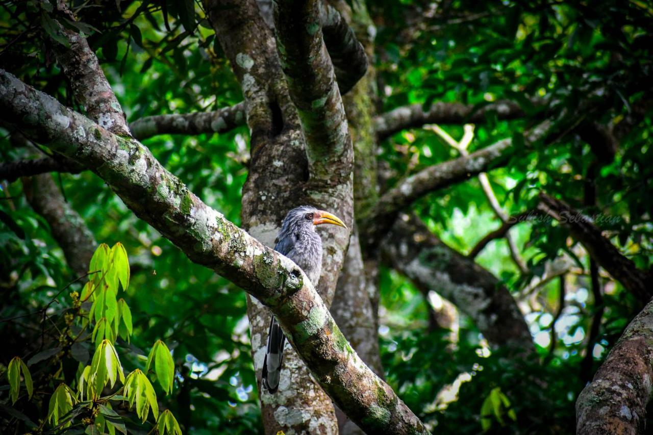 Monsoon Retreats Ecostay- Treehouse Теккади Экстерьер фото