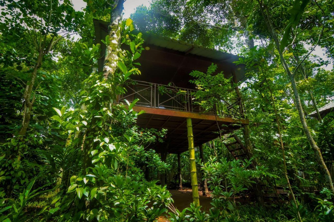 Monsoon Retreats Ecostay- Treehouse Теккади Экстерьер фото
