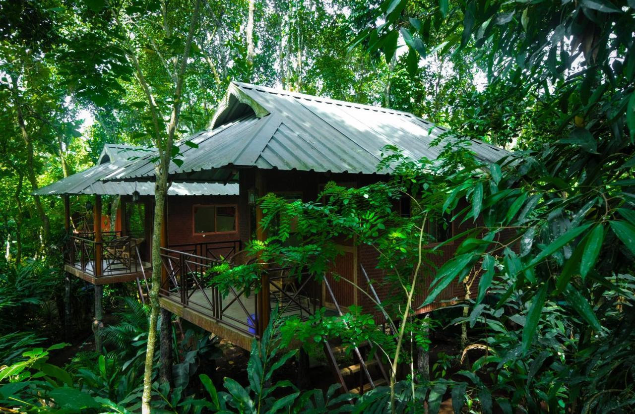 Monsoon Retreats Ecostay- Treehouse Теккади Экстерьер фото