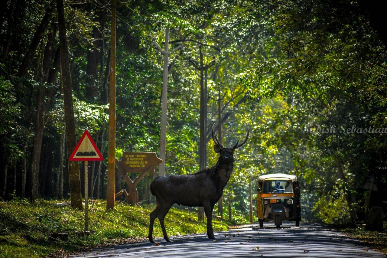 Monsoon Retreats Ecostay- Treehouse Теккади Экстерьер фото